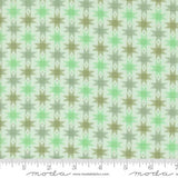 PREORDER Busy Backyard Quilt Kit using Popcorn by Elizabeth Hartman- Moda- 68" X 86"