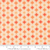 PREORDER Busy Backyard Quilt Kit using Popcorn by Elizabeth Hartman- Moda- 68" X 86"