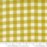 PREORDER Busy Backyard Quilt Kit using Popcorn by Elizabeth Hartman- Moda- 68" X 86"