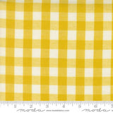 PREORDER Busy Backyard Quilt Kit using Popcorn by Elizabeth Hartman- Moda- 68" X 86"