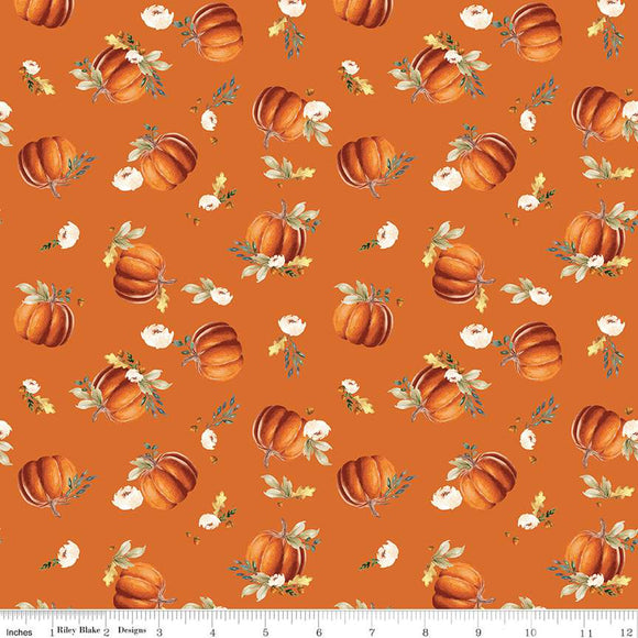 Shades of Autumn Pumpkins C13471-ORANGE -Riley Blake Designs-