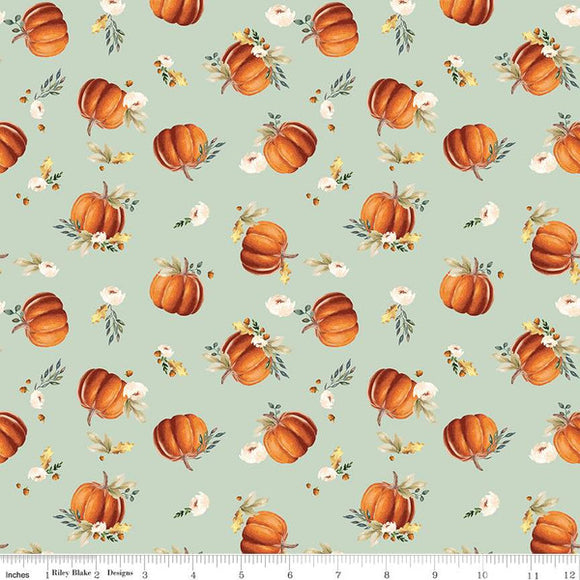 Shades of Autumn Pumpkins C13471-TEA GREEN-Riley Blake Designs-