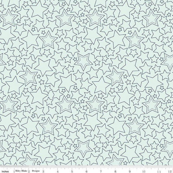 Sweet Freedom Stars Bleached Denim C14414-BLEACHED by Beverly McCullough for Riley Blake Designs -1/2 yard