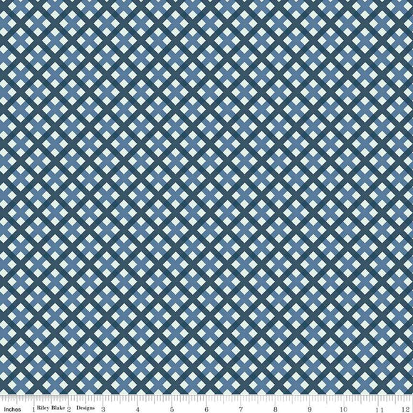 Sweet Freedom Gingham Picnic Blue C14417-BLUE by Beverly McCullough for Riley Blake Designs -1/2 yard