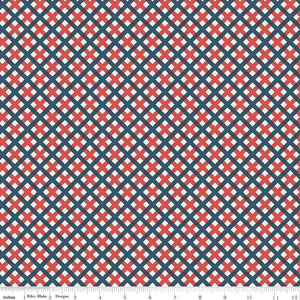 Sweet Freedom Gingham Picnic Multi C14417-MULTI by Beverly McCullough for Riley Blake Designs -1/2 yard