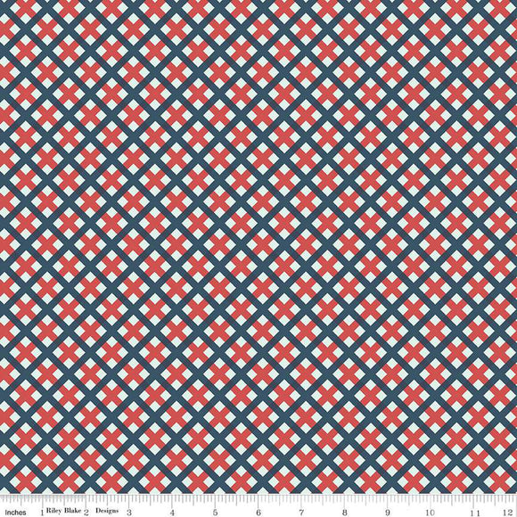 Sweet Freedom Gingham Picnic Multi C14417-MULTI by Beverly McCullough for Riley Blake Designs -1/2 yard