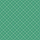 Berry and Sage Daisy C17395-SAGE by Lori Holt of Bee in My Bonnet -Riley Blake Designs- 1/2 Yard