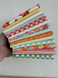 Spring Picnic Fat Quarter Bundle -14 prints