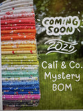 Cali & Co Mystery Block of the Month Kit  by Corey Yoder- Moda-