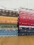 Friends and Neighbors Starter Bundle - Blockheads 7 - 39 prints