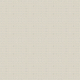 PREORDER 1- 800 Calico Mini Dot Black on Natural RS4102 20 by Alexia Abegg for Ruby Star Society - 1/2 Yard