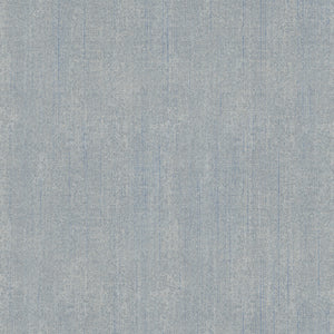 Warp and Weft Hue Chambray RS4108 15 by Alexia Abegg -  Ruby Star Society-Moda-Half Yard