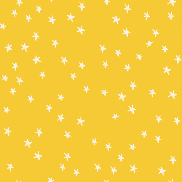 Starry Sunshine RS4109 62 by Alexia Abegg -  Ruby Star Society-Moda- 1/2 Yard