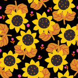 PREORDER Daisy Days - Sunflower- Black RS4173 16 by Alexia Abegg- Ruby Star Society- Moda- 1/2 Yard