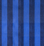 PREORDER Warp & Weft Daisy Days- Clothesline Stripe- Blue RS4183 11  by Alexia Abegg- Ruby Star Society- Moda- 1/2 Yard