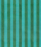 PREORDER Warp & Weft Daisy Days- Disco Stripe- Sprout RS4186 11 by Alexia Abegg- Ruby Star Society- Moda- 1/2 Yard