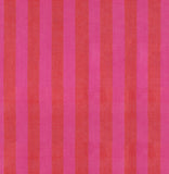 PREORDER Warp & Weft Daisy Days- Disco Stripe- Vivid Pink RS4186 13 by Alexia Abegg- Ruby Star Society- Moda- 1/2 Yard