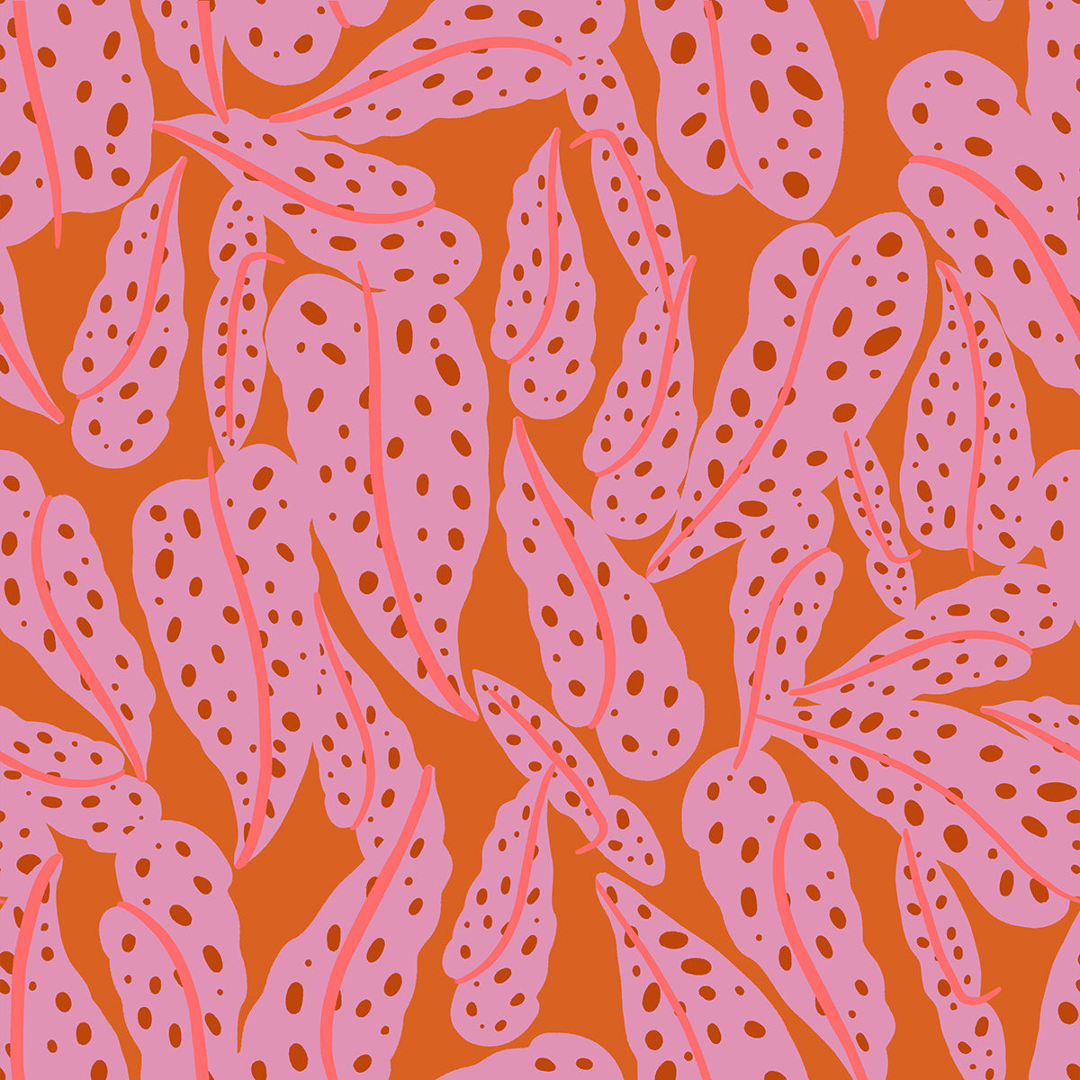 PREORDER Calathea Overlapping Leaves Pecan RS5187 11 by Ruby Star Soci ...