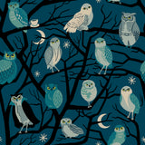 PREORDER Freaky Familiars Owls Galaxy RS5190 12 by Ruby Star Society- Moda - 1/2 Yard