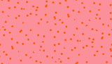 PREORDER Sidekicks -Hole Punch- Sorbet RS5220 33 by Ruby Star Society- Moda 1/2 Yard