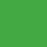 PREORDER Ruby Star Solids Verdant RS5500 17 Ruby Star Society - Moda- 1/2 Yard