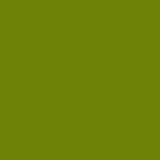 PREORDER Ruby Star Solids Sprout RS5500 19 Ruby Star Society - Moda- 1/2 Yard