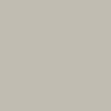 PREORDER Ruby Star Solids Oyster RS5500 24 Ruby Star Society - Moda- 1/2 Yard