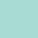 PREORDER Ruby Star Solids Frost RS5500 61 Ruby Star Society - Moda- 1/2 Yard