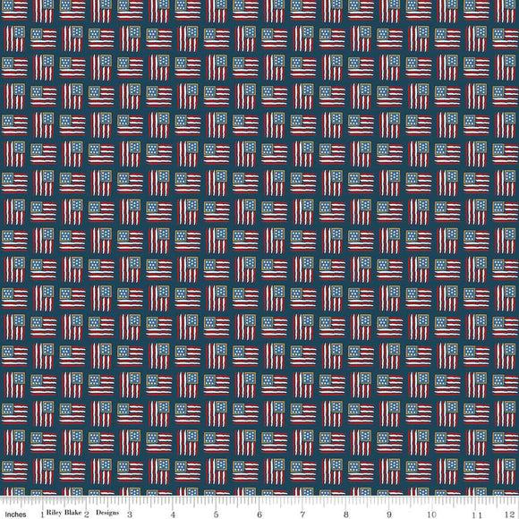 Sweet Freedom Flags Oxford Sparkle C14416-OXFORD by Beverly McCullough for Riley Blake Designs -1/2 yard