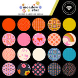 Meadow Star One Yard Bundle RS40971Y by Alexia Abegg -  Ruby Star Society-Moda-26 Prints- SHOP CUT