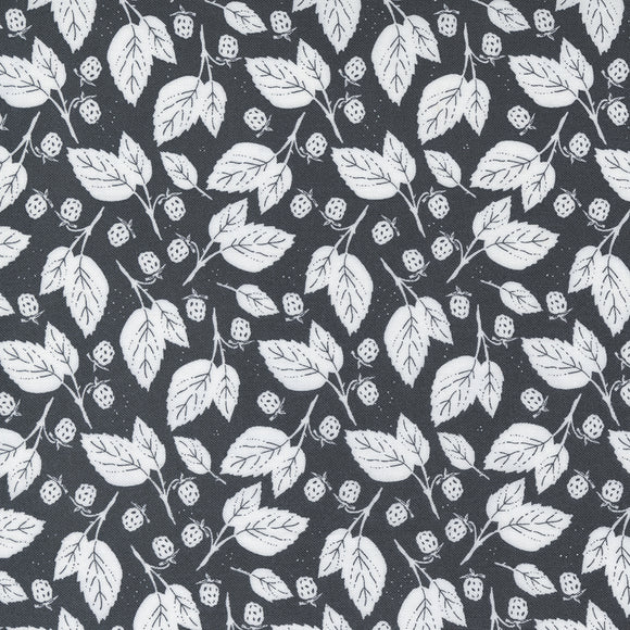 Midnight in the Garden Blackberry Bramble  Charcoal 43125 13 by Sweetfire Road - Moda- 1 Yard