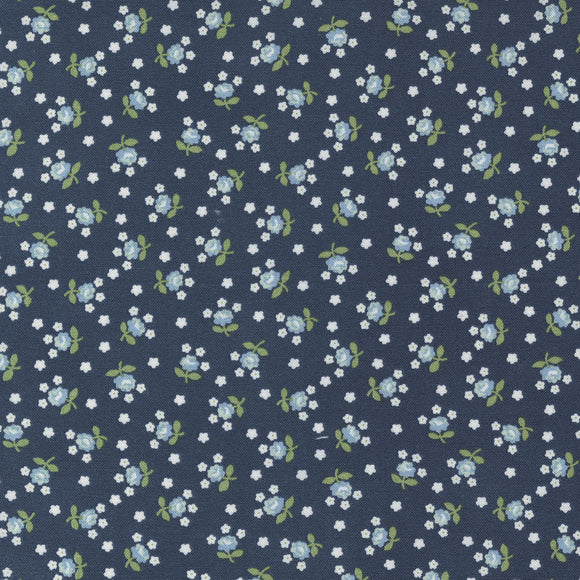 PREORDER Nantucket Summer Fairground Navy  55266 13 by Camille Roskelley of Thimble Blossoms- 1/2 Yard