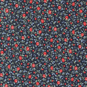 Dwell Navy 55277 12  by Camille Roskelley- Moda- 1 Yard