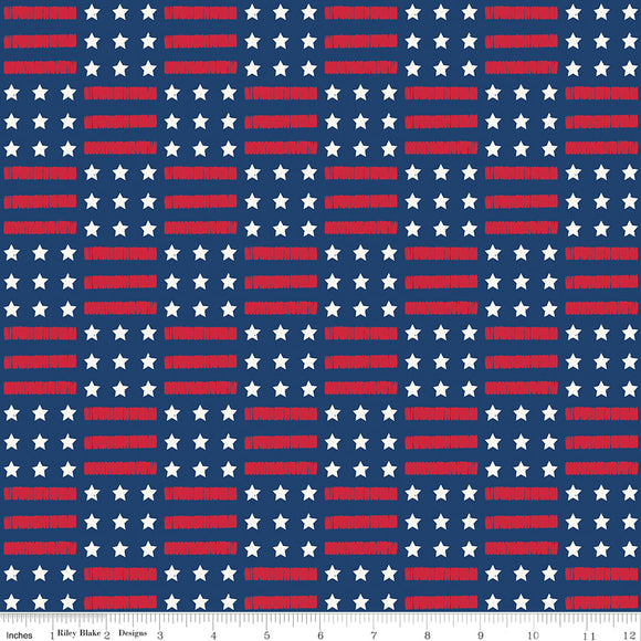 Land of The Brave Stars and Stripes C13141-NAVY by My Mind's Eye- Riley Blake Designs- 1 Yard